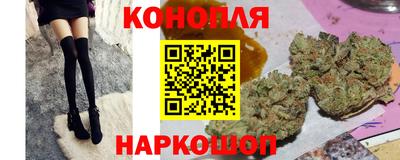круглые Бердск