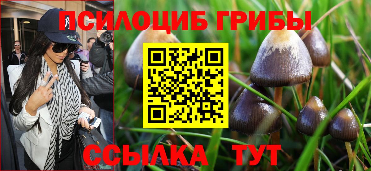Псилоцибиновые грибы Psilocybine cubensis  Вход с VPN  Верхняя Салда 